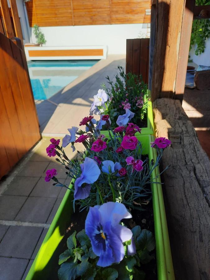 הוילה Valff Oasis D'Alsace מראה חיצוני תמונה